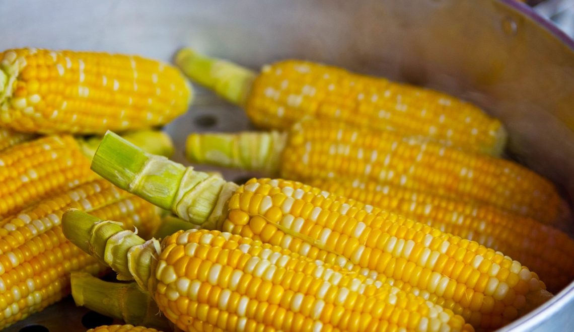 Corn Shucking Must Peek