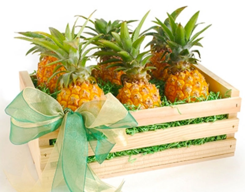 fun 2017 holiday gifts pineapples