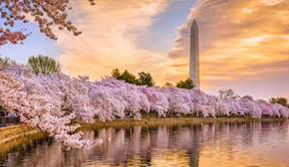 Washington, D.C. in the Springtime